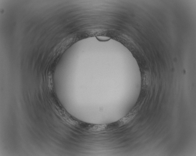X0000068810138200605261535