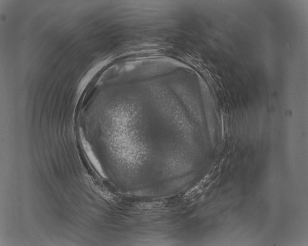 X0000068810147200605261534