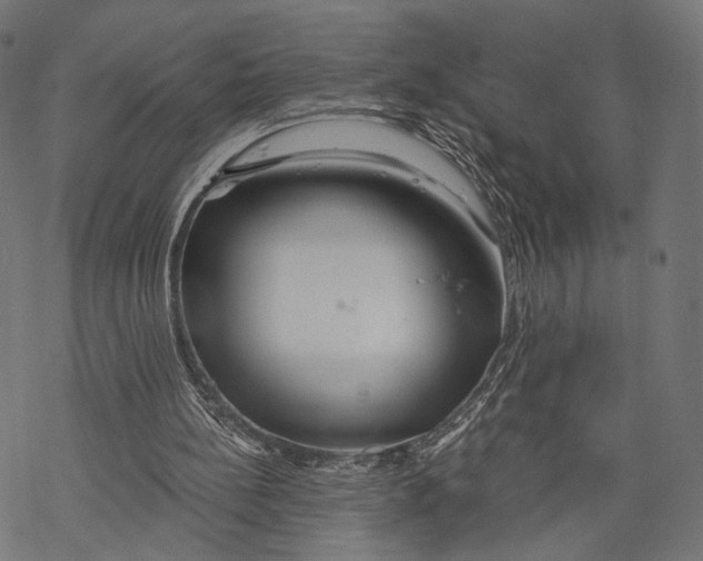X0000068810148200605261534