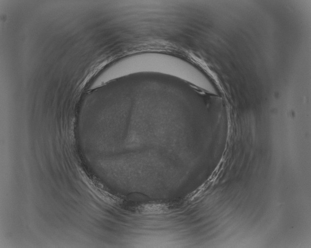 X0000068810154200605261534
