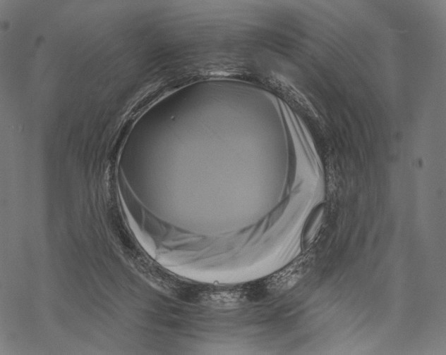 X0000068810163200605261534