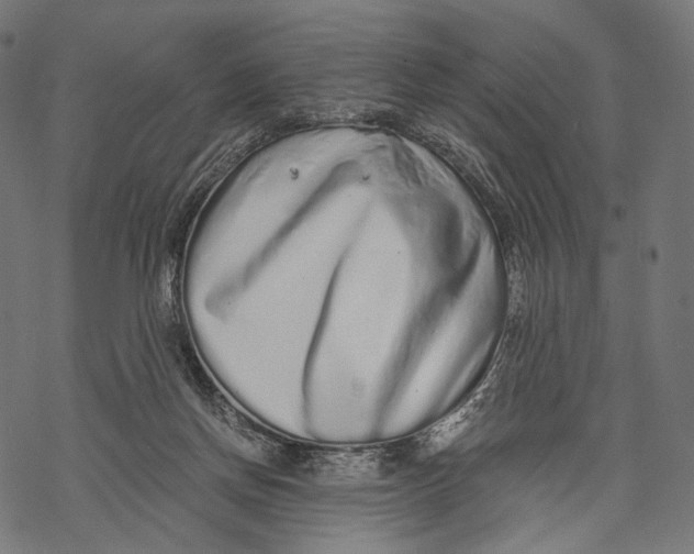 X0000068810166200605261534