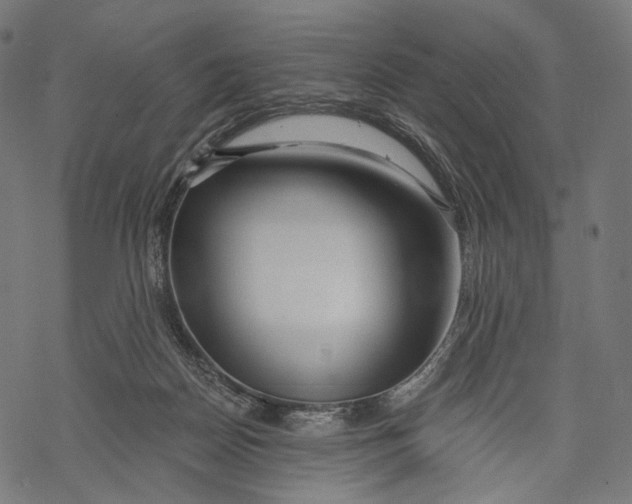 X0000068810170200605261534