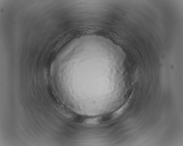 X0000068810178200605261535
