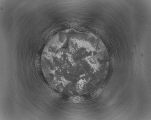 X0000068810181200605261535