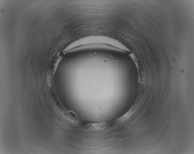X0000068810188200605261535