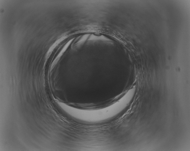 X0000068810200200605261534