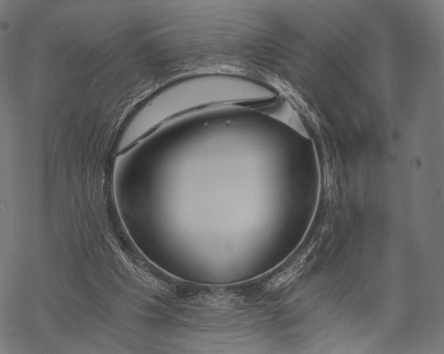 X0000068810201200605261534