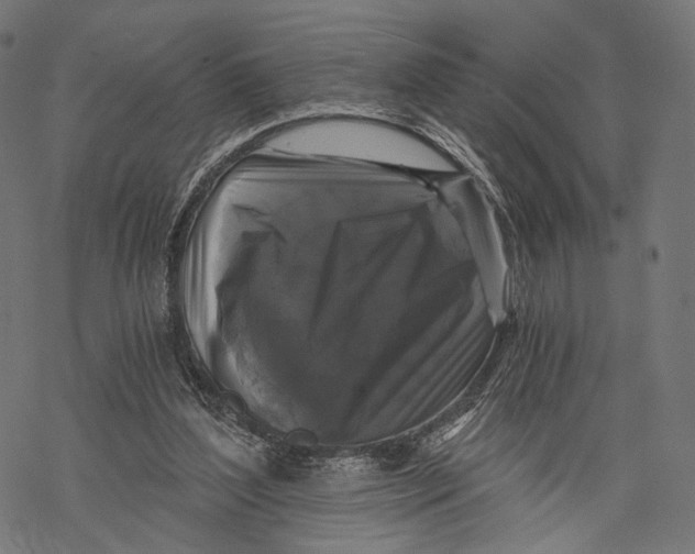 X0000068810204200605261534
