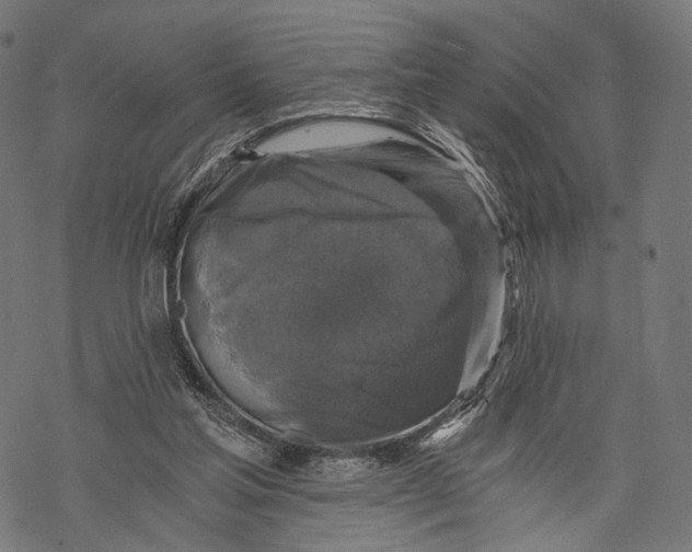 X0000068810205200605261534