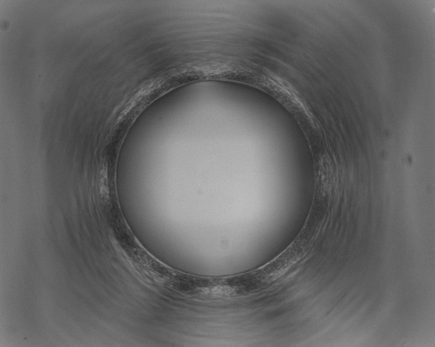 X0000068810212200605261534