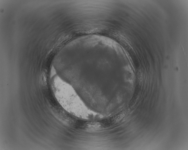 X0000068810214200605261534