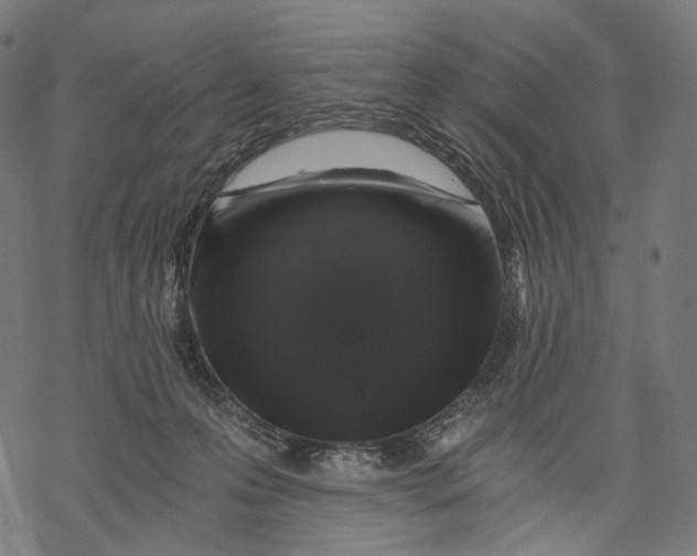 X0000068810223200605261533