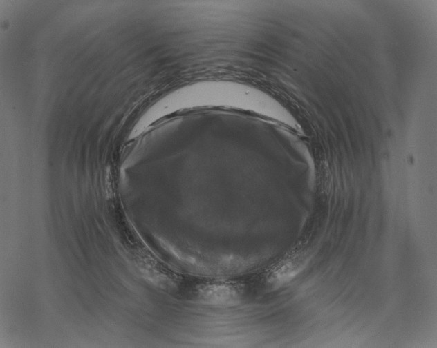 X0000068810224200605261533