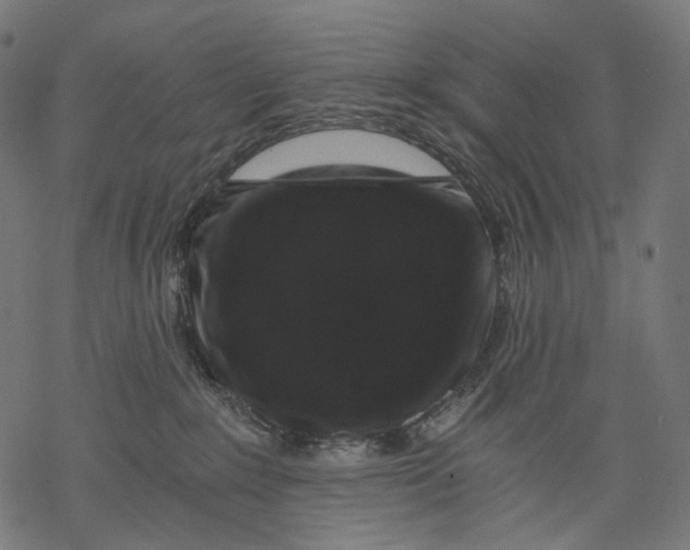 X0000068810235200605261533