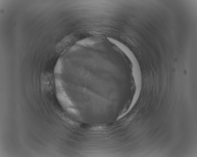X0000068810237200605261533