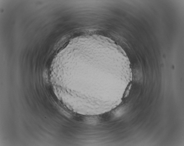 X0000068810238200605261533