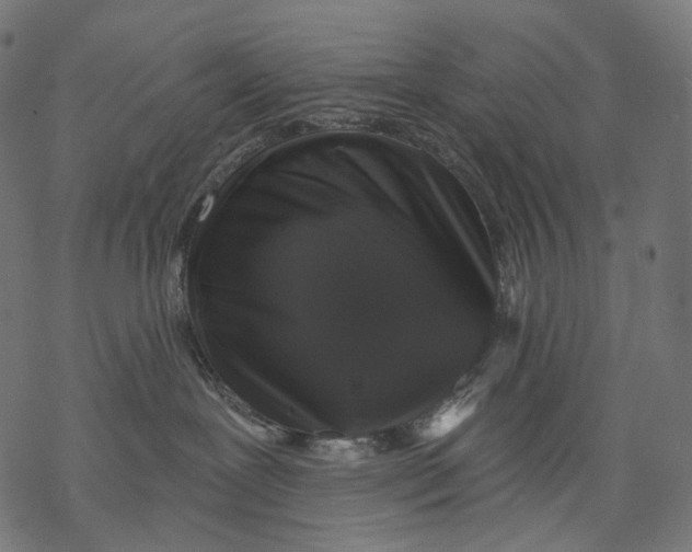 X0000068810239200605261533