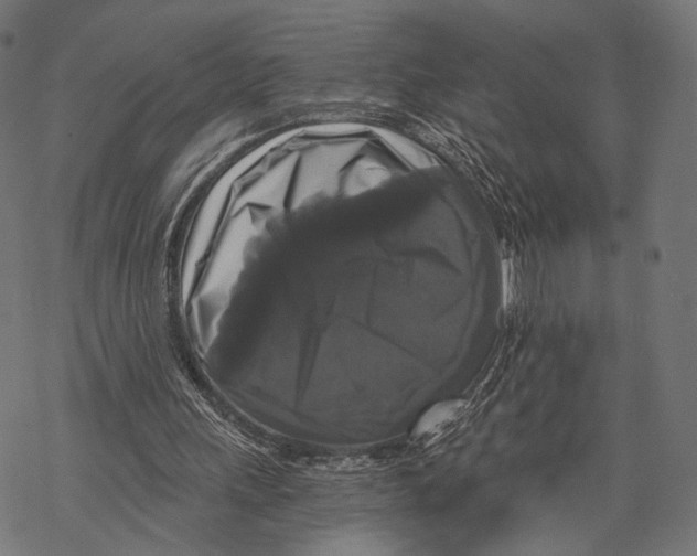 X0000068810243200605261532