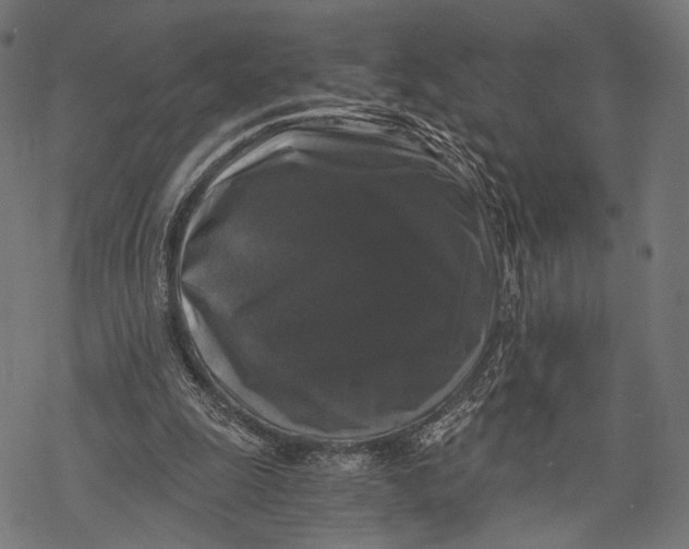 X0000068810247200605261533