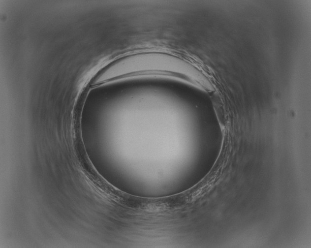 X0000068810248200605261533