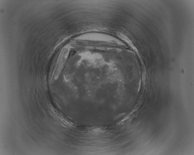 X0000068810249200605261533
