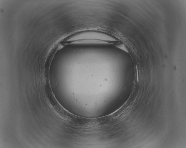 X0000068810252200605261533