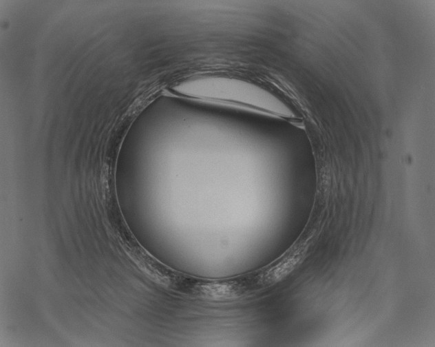 X0000068810265200605261533