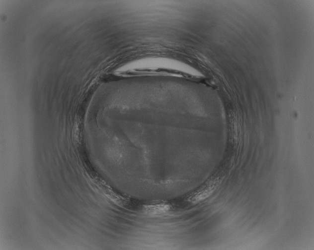 X0000068810266200605261533