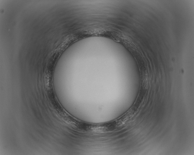 X0000068810268200605261533