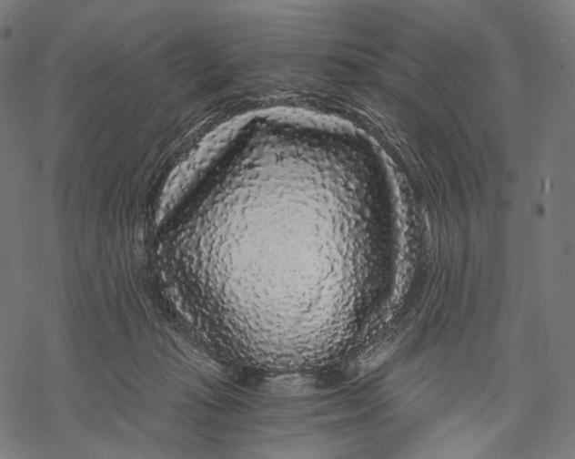 X0000068810269200605261533
