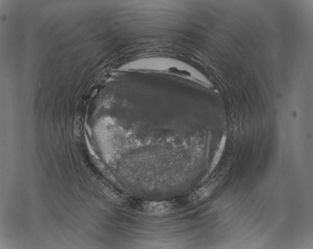 X0000068810277200605261533