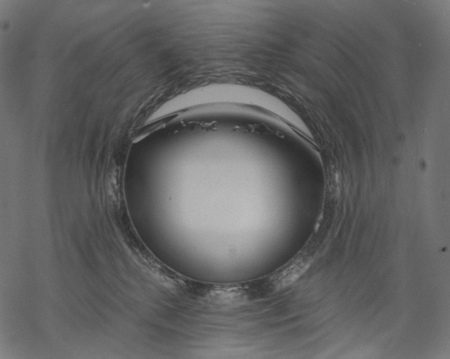 X0000068810280200605261533