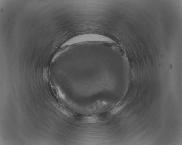X0000068810286200605261533