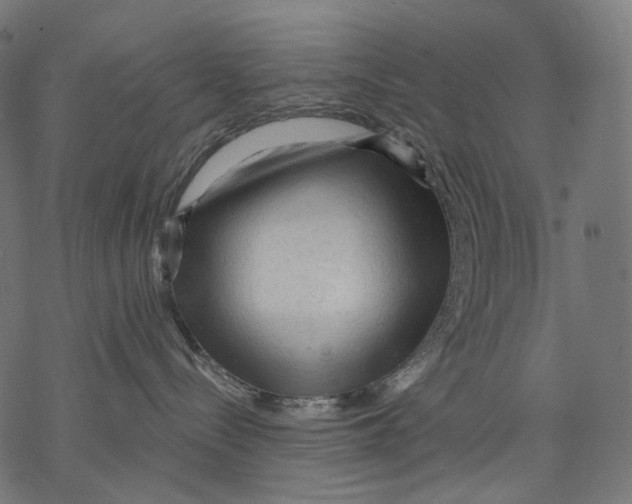 X0000068810288200605261533