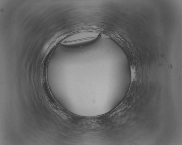 X0000068810291200605261532