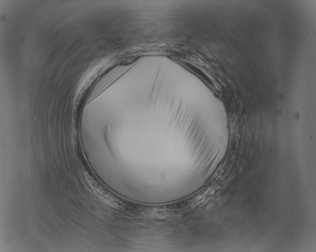 X0000068810293200605261532