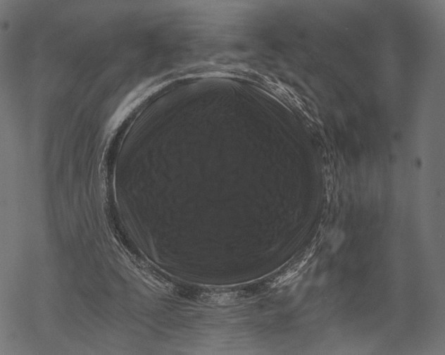X0000068810295200605261532