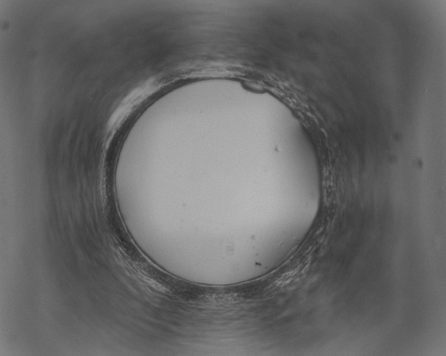 X0000068810296200605261532