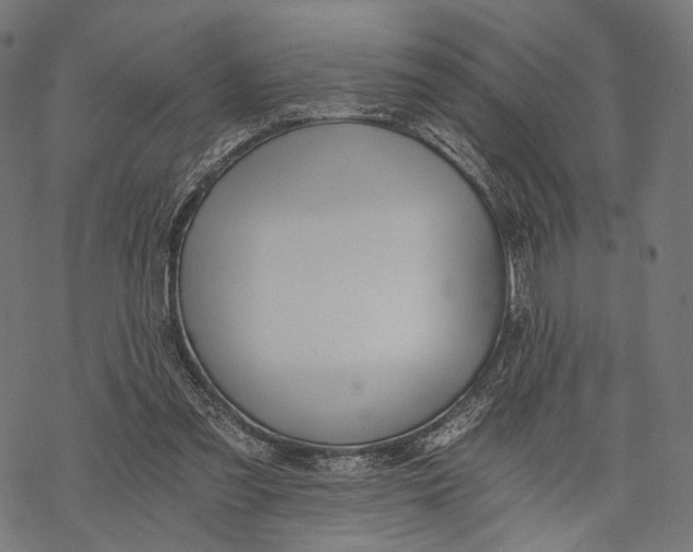X0000068810301200605261532