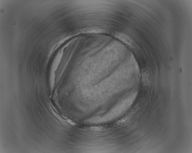 X0000068810302200605261532