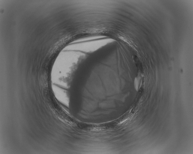 X0000068810303200605261532