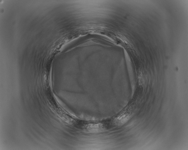 X0000068810314200605261532
