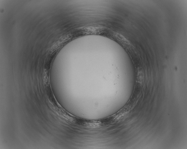 X0000068810318200605261532