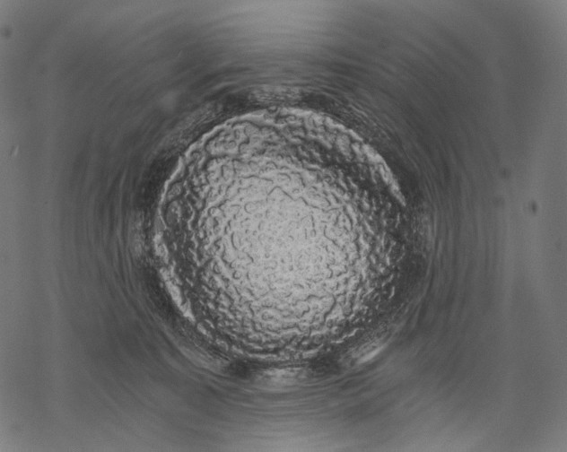 X0000068810323200605261532