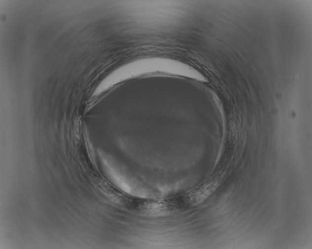 X0000068810325200605261532