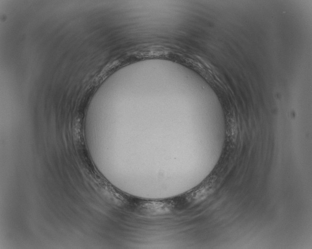 X0000068810326200605261532