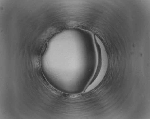 X0000068810335200605261532