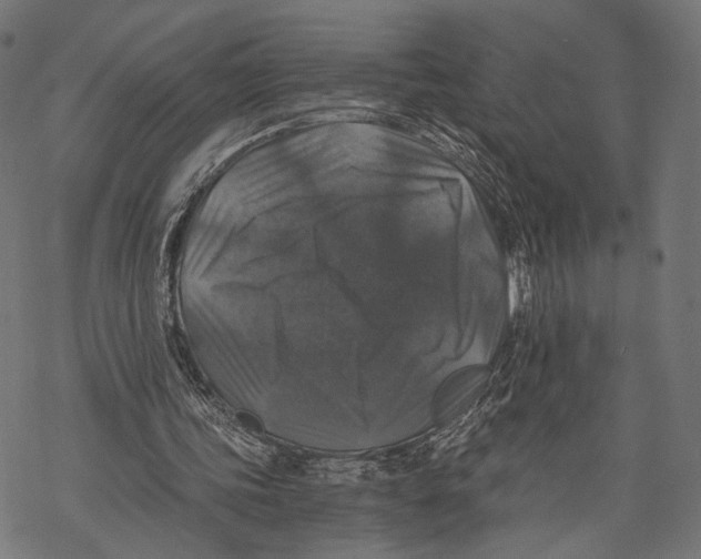 X0000068810339200605261531