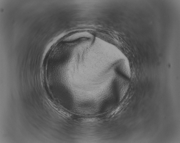X0000068810342200605261531